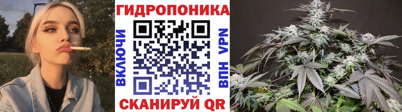 Купить закладку КОКАИН  Марихуана  Меф мяу мяу  ГАШИШ  Сунжа