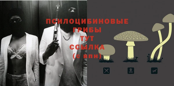 твердый Белоозёрский