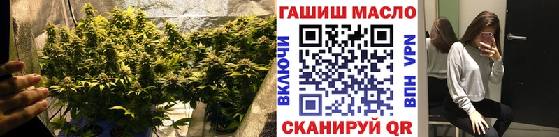 Дистиллят ТГК THC oil  Купить  Сунжа 